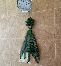 Load image into Gallery viewer, Eucalyptus Shower Bundle