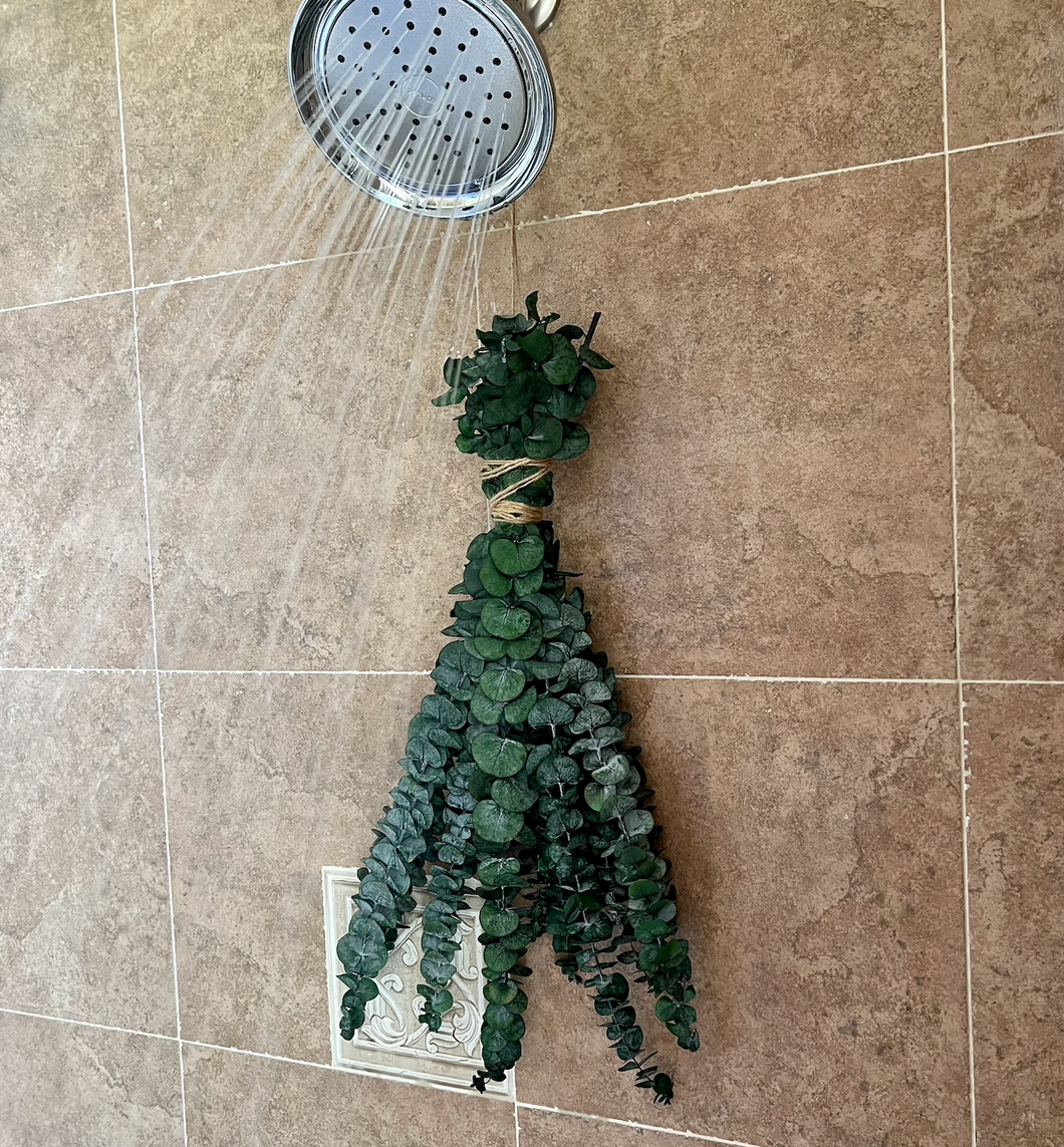 Eucalyptus Shower Bundle